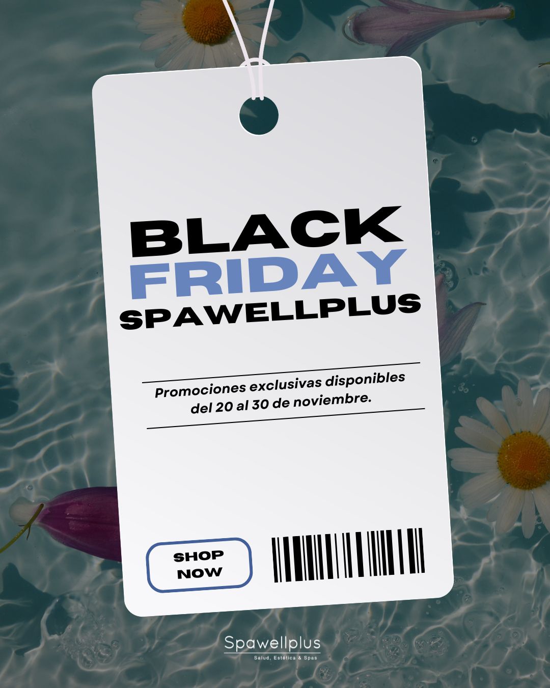 black friday en tenerife